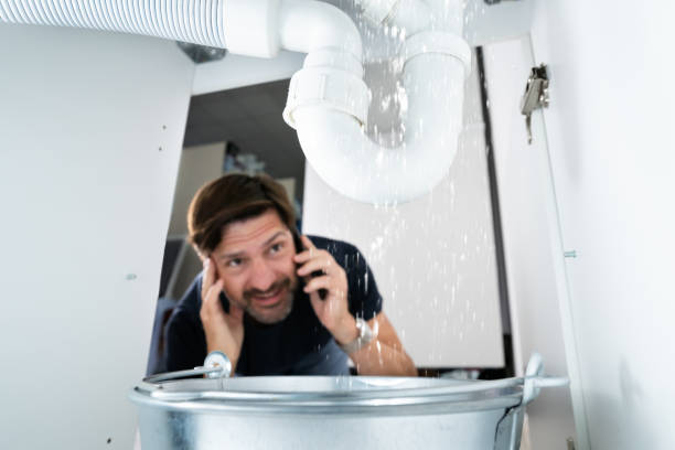 Best Residential Plumbing Services  in Conestee, SC